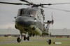 Lynx_NL_NAVY.jpg