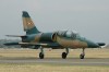 L39ZO128.jpg