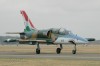 L39ZO135.jpg