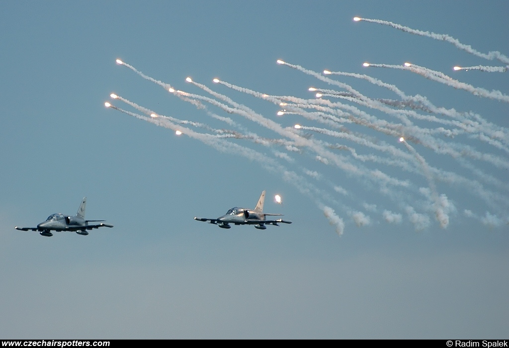 Czech - Air Force &ndash; Aero L-159A Alca 6058