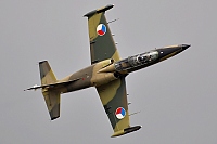 Czech - Air Force &ndash; Aero L-39ZA Albatros 2436