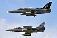 Czech - Air Force &ndash; Aero L-159A Alca 6066