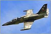Czech - Air Force &ndash; Aero L-39ZA Albatros 2344