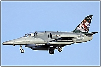 Czech - Air Force &ndash; Aero L-159A Alca 6058