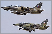 Czech - Air Force &ndash; Aero L-39ZA Albatros 3903