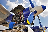 Meridian Aviation &ndash; Antonov An-12 UR-DWF