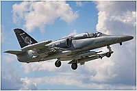 Czech - Air Force &ndash; Aero L-159A Alca 6066