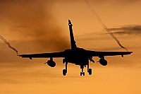 Germany - Air Force &ndash; Panavia  Tornado IDS 45+25