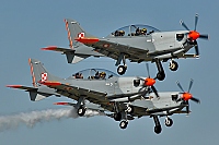 POLAND - ARMY &ndash; PZL - Okecie PZL-130TC I Turbo Orlik 044