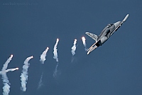 Czech - Air Force &ndash; Aero L-159A Alca 6051