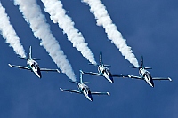 Russ Aerobatics Team &ndash; Aero L-39C Albatros RF-49806