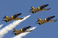 Baltics Bees &ndash; Aero L-39C Albatros YL-KSH