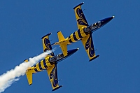 Baltics Bees &ndash; Aero L-39C Albatros YL-KSH