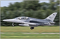 Czech - Air Force &ndash; Aero L-159T1 6046