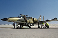 Czech - Air Force &ndash; Aero L-39ZA Albatros 5017