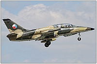 Czech - Air Force – Aero L-39ZA Albatros 3903