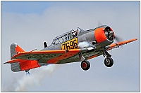 private – North American AT-6C Texan N696RE / 7696