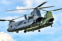 Netherlands - Air Force &ndash; Boeing CH-47F Chinook D-892