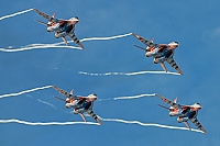 Swifts / Strizhi &ndash; Mikoyan-Gurevich MiG-29A / 9-12A VARIOUS