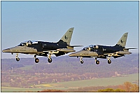Czech - Air Force &ndash; Aero L-159A Alca 6050