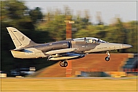 Czech - Air Force &ndash; Aero L-159A Alca 6063