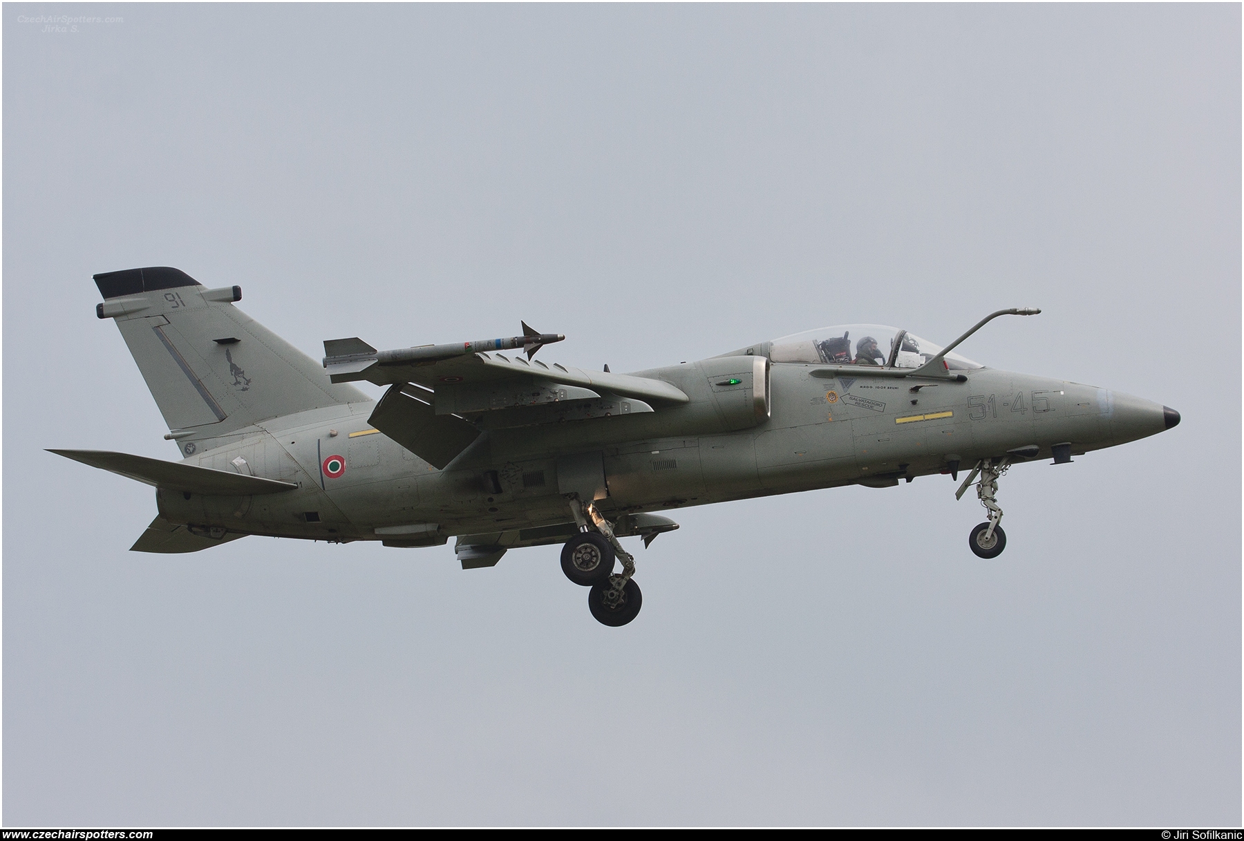 Italy - Air Force &ndash; AMX International AMX A-1A MM7191 / 51-45