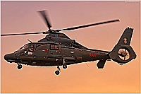 Lithuania - Air Force &ndash; Eurocopter AS 365 N3+ Dauphin 41
