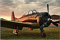 The Flying Bulls – North American T-28B Trojan OE-ESA