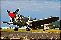 Amicale Jean-Baptiste Salis – Curtiss P-40N Kittyhawk F-AZKU/2105915