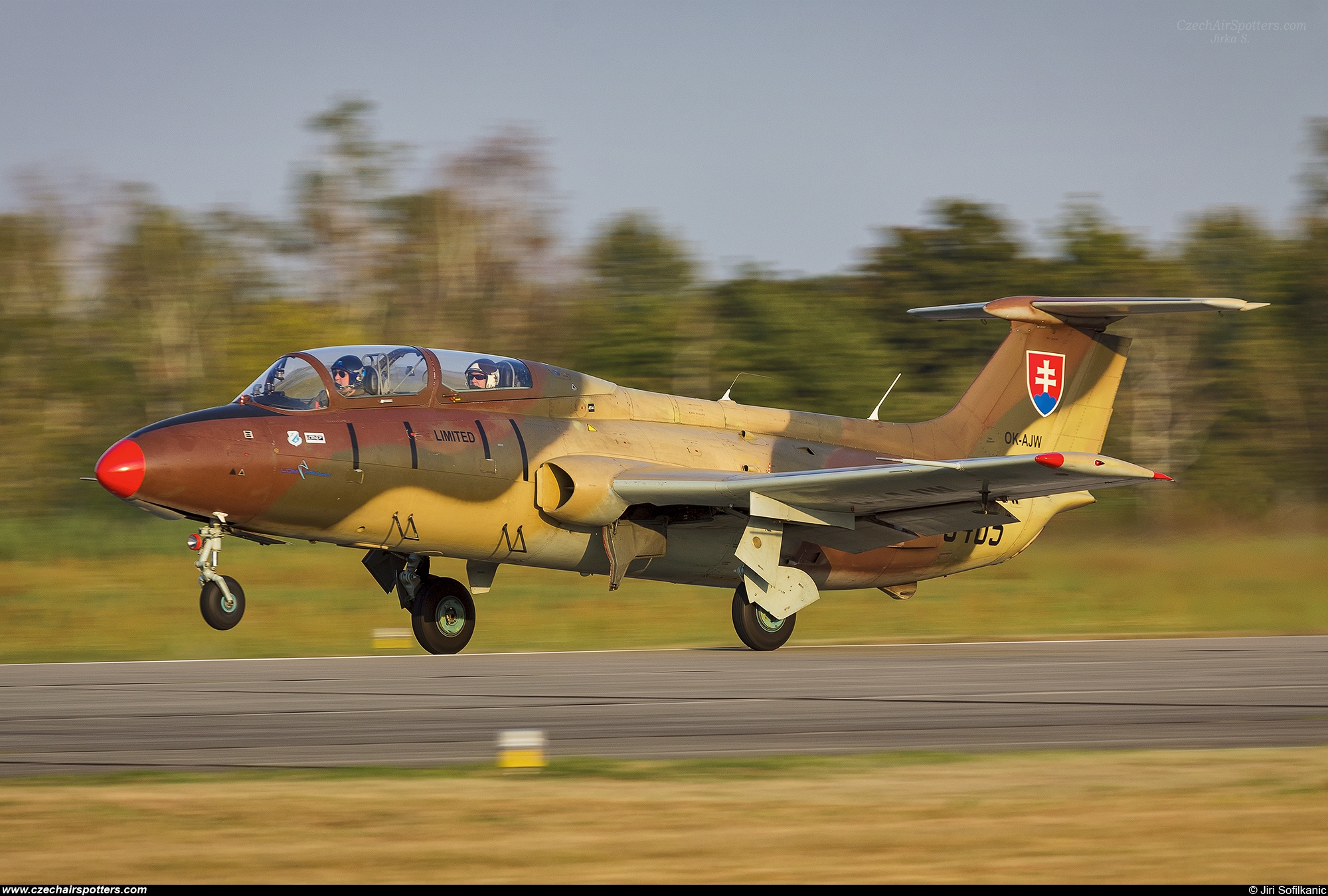 Blue Sky Service &ndash; Aero L-29 Delfin OK-AJW / 3405