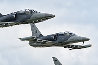 Czech - Air Force &ndash; Aero L-159A Alca 6051