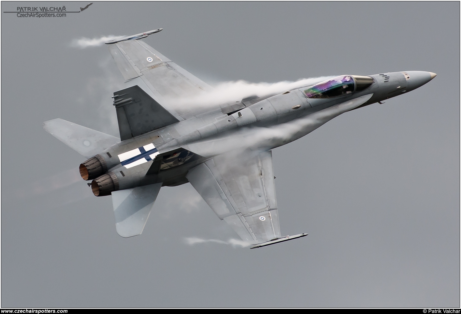 Finland - Air Force &ndash; McDonnell Douglas F/A-18C Hornet HN-421