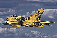 Germany - Air Force – Panavia Tornado ECR 46+38